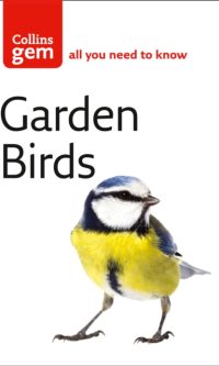 Garden Birds