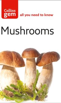 Mushrooms