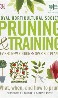 Pruning & training