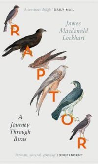 Raptor A Journey Through Birds