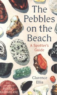 Pebbles on the Beach: A Spotter's Guide