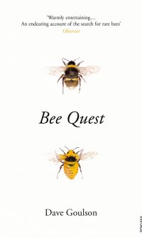 Bee Quest