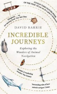 Incredible Journeys