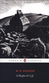 Shepherd's Life