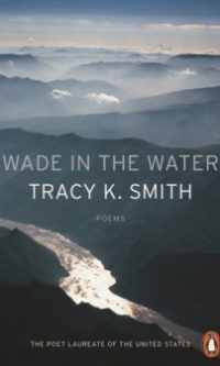 Wade In The Water