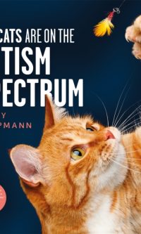 All cats are on the autism spectrum