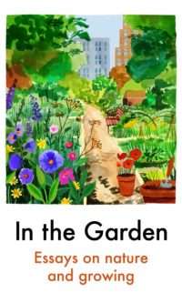 In the garden