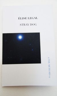 Stray Dog - Élise Legal