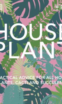 House plant