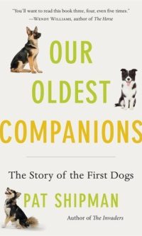 Our oldest companions