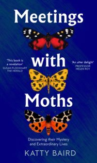 Meetings with moths