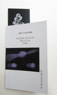 Where do you begin in this - Iris Colomb