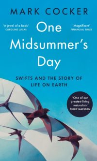 One midsummer's day