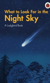 What to look for in the night sky