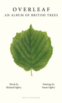 Overleaf