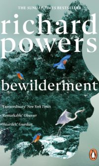 Bewilderment