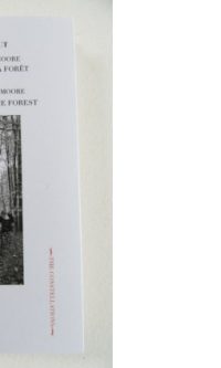 The Thoughts of Sam Moore: The Tree that Hides the Forest - Hulaut