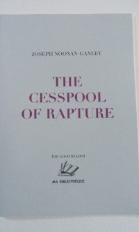 The Cesspool of Rapture: Artist's Texts 2012-2024 - Joseph Noonan-Ganley