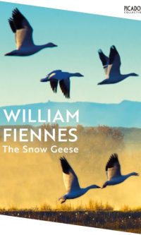 The snow geese