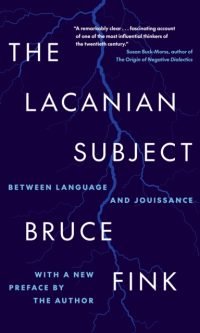 The Lacanian Subject - Bruce Fink