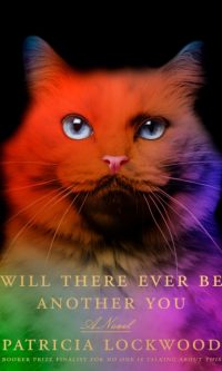 Will There Ever Be Another You - Patricia Lockwood