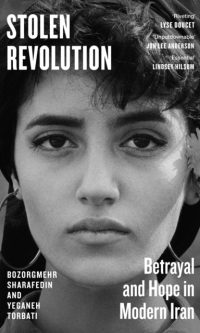 Stolen Revolution - Bozorgmehr Sharafedin
